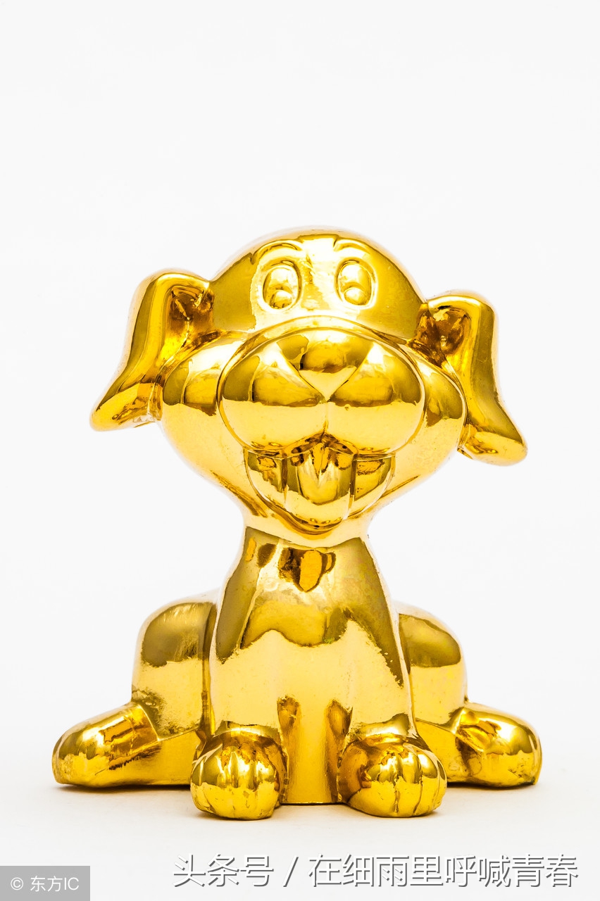 属猪猴鸡狗哪个属相合适,属狗属猴属鸡人合财吗