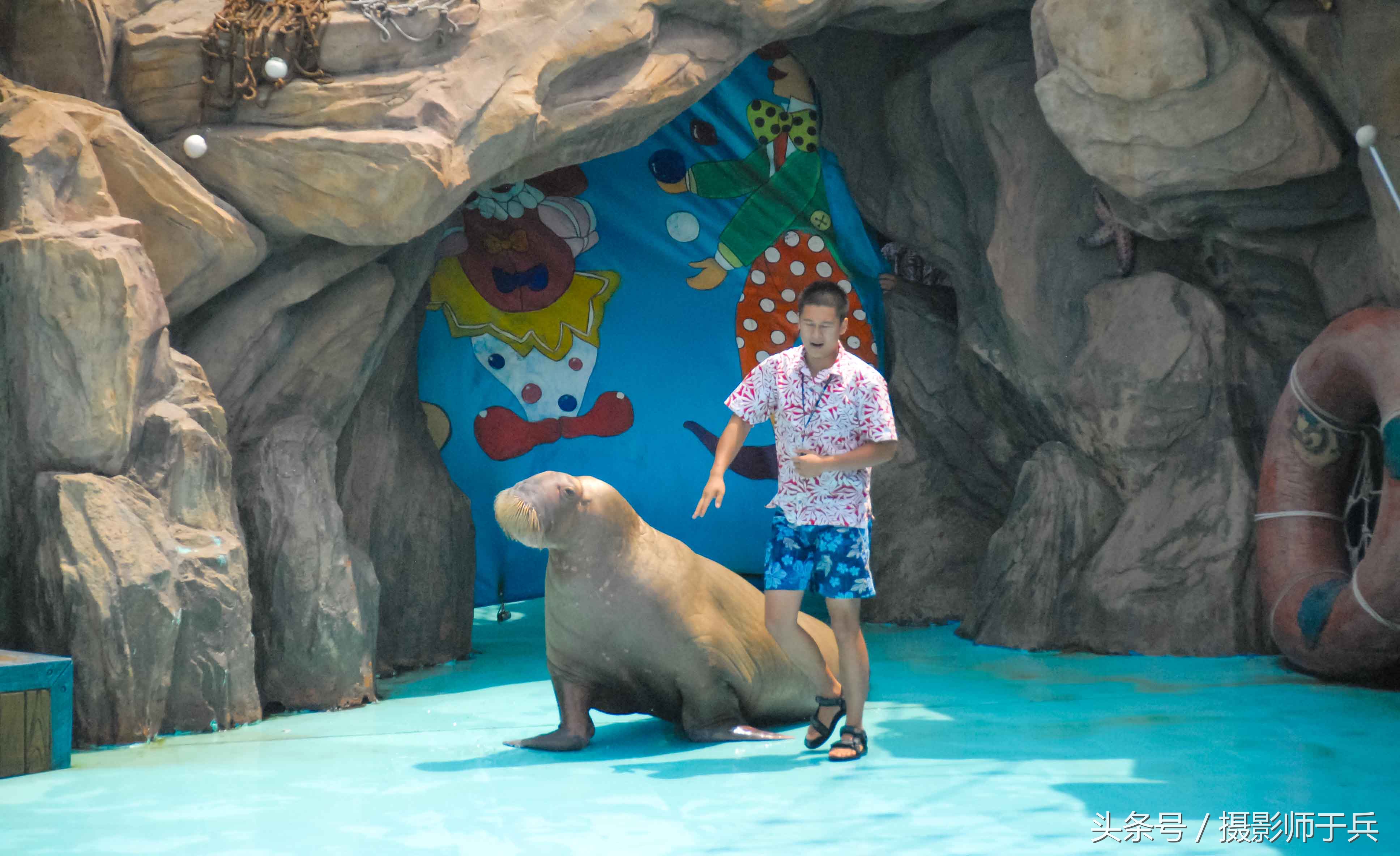 大连海洋主题公园在哪里,大连最著名的老虎滩海洋公园