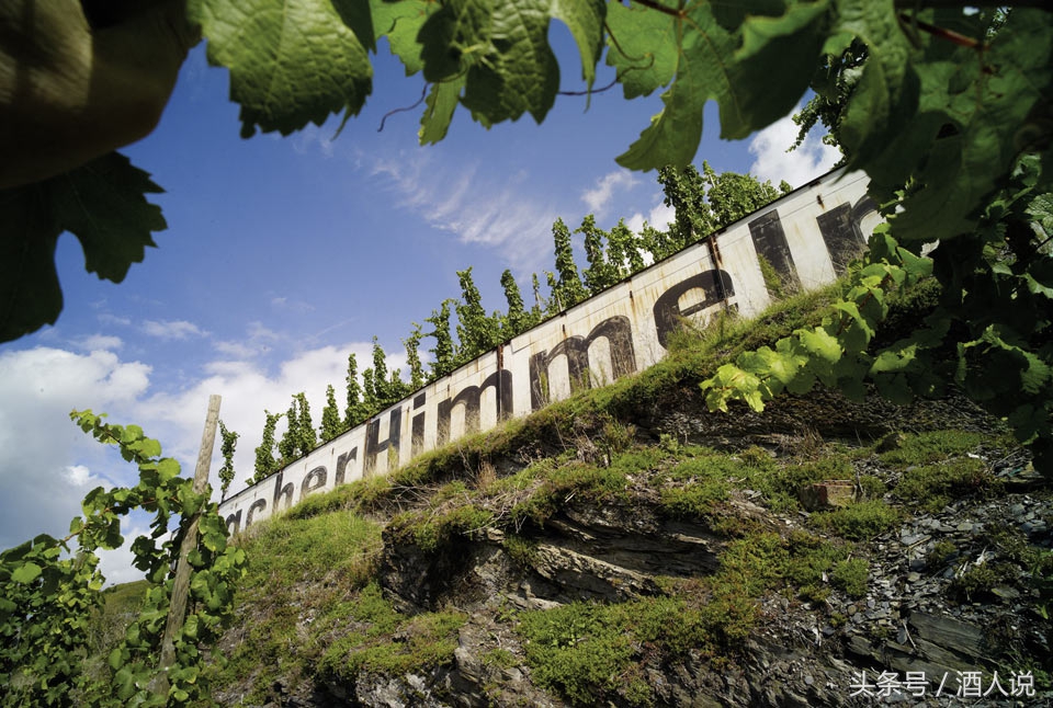 葡萄酒常见的10个误解你有几个,葡萄酒的那些误区你了解多少