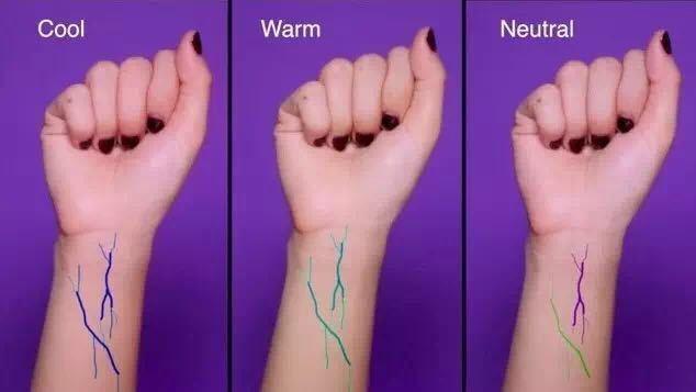 怎样化妆初学者教程,怎么化妆入门教程