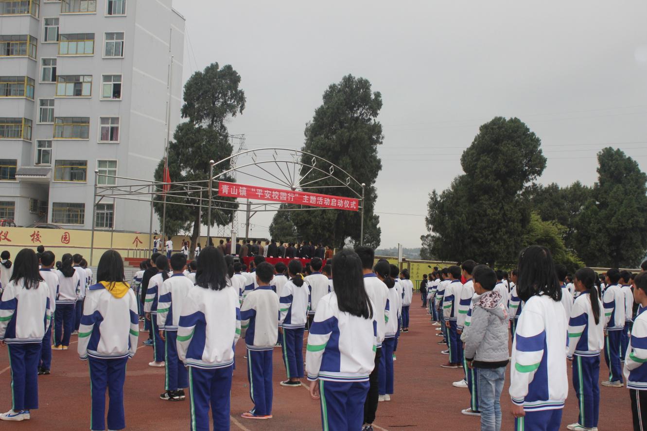 奋进挥笔书教育联袂安全保平安“做自己的首席安全官——平安校园行青山镇”主题活动启动仪式