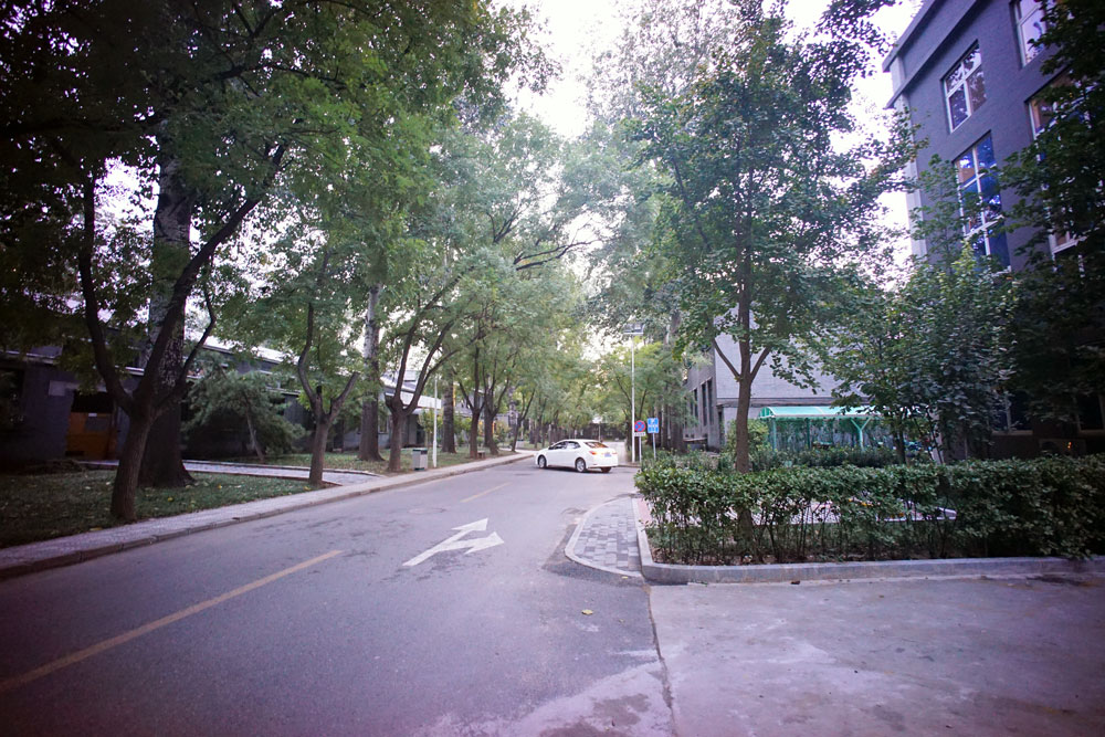 真力8050b两分频有源监听音箱 (真力有源监听音箱1038)