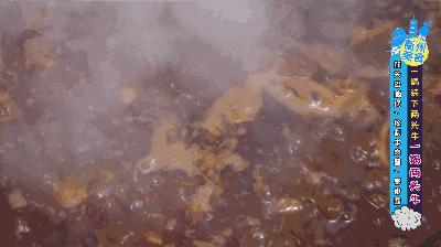 探店火锅买整个牛肚,探店这家一人一锅的火锅