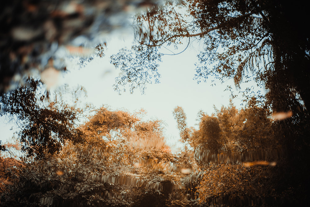 单反定焦和变焦对比,单反相机怎么选性价比高的