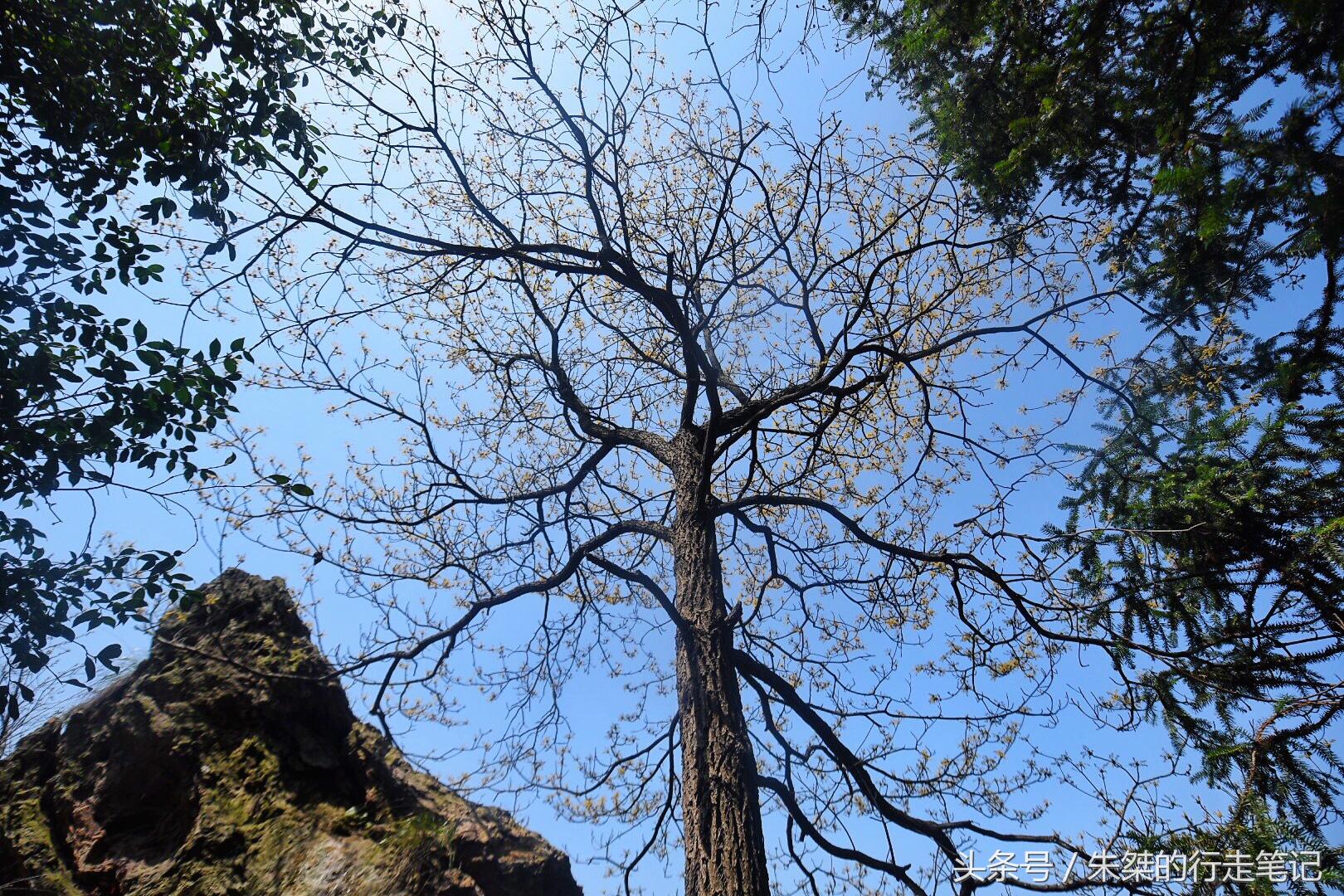 六安宝藏景点,安徽六安九寨沟风景