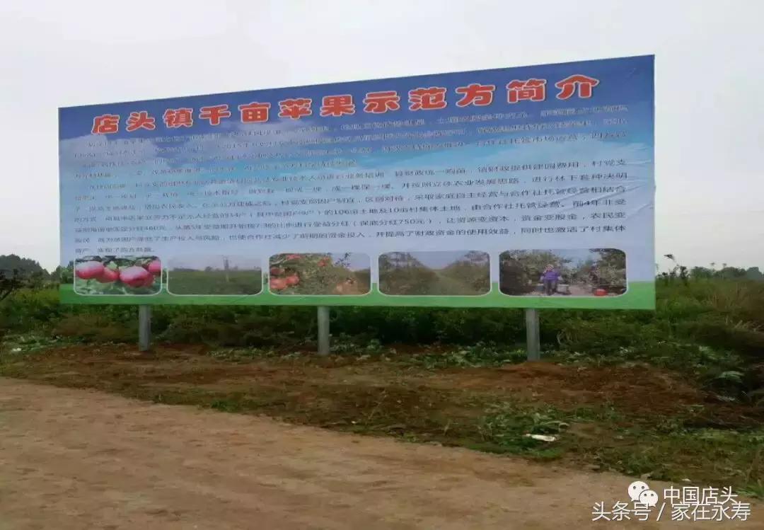 每亩增收,永寿人均收入