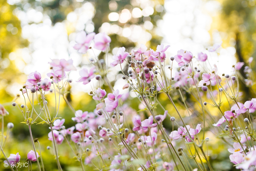 当你感觉到苦时,当你感到累了请记住这几点