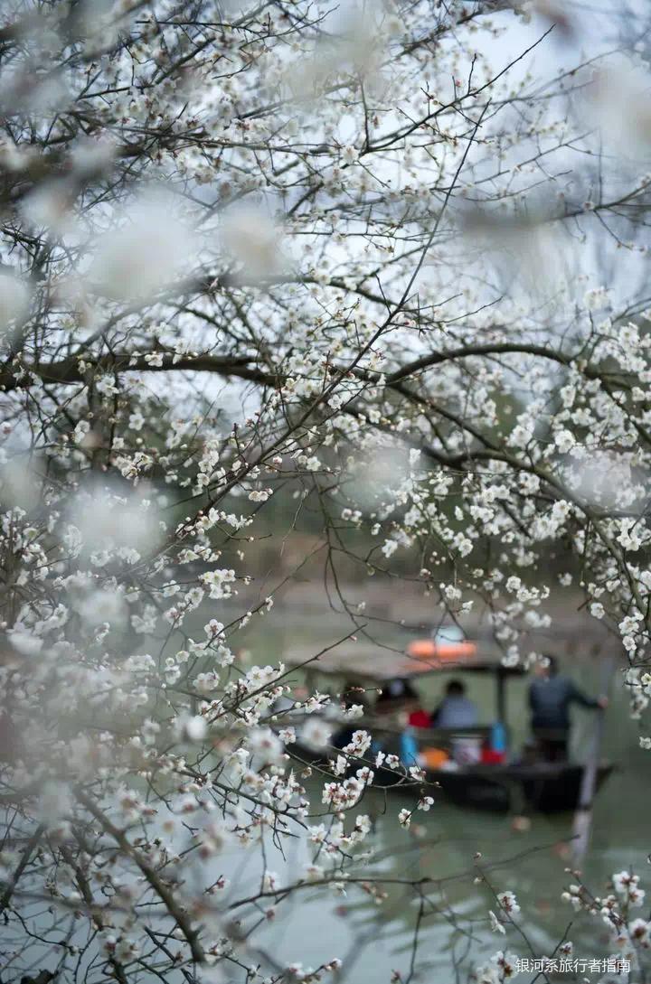 携程飞猪旅行酒店,飞猪五星酒店价格
