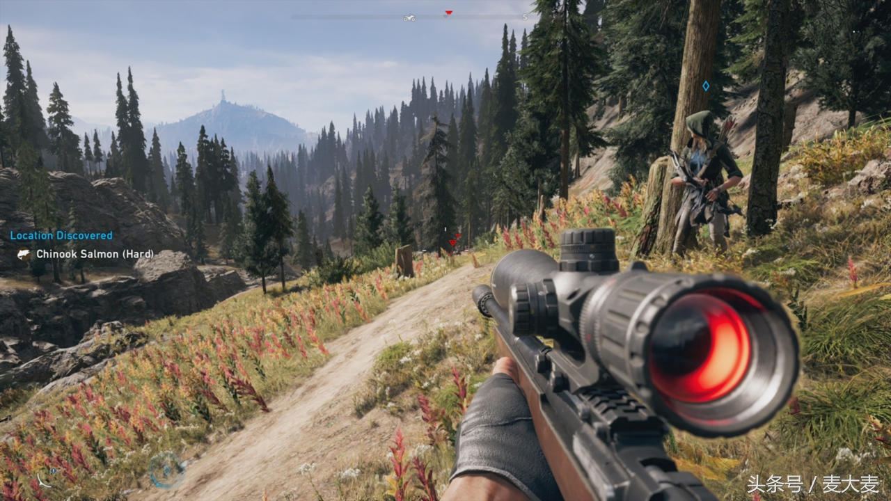 孤岛惊魂5黄金版攻略单机,麦大麦的游戏推荐