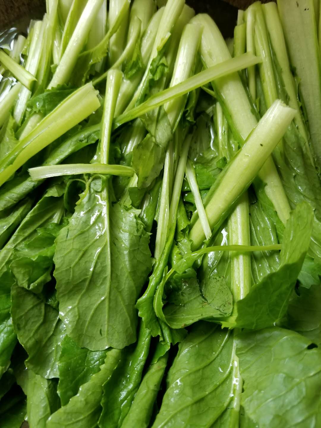 当当狗粮怎么样,当当甜品制作教程