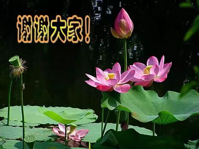 儿童肠套叠空气灌肠后遗症,儿童肠套叠空气灌肠复发几率高吗