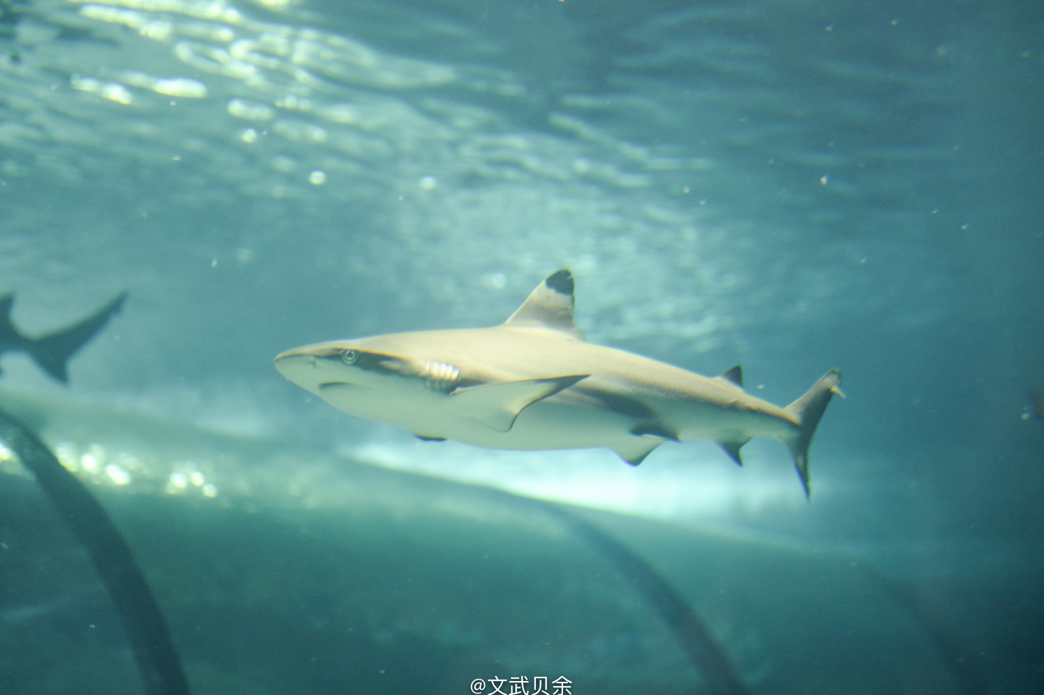 六安九十里山水画廊攻略,六安九十里山水画廊是啥