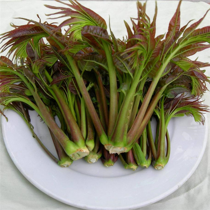 香椿芽炒鸡蛋会升血压吗,香椿芽炒鸡蛋的做法大全