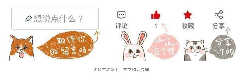 世界杯上最厉害的猫,法国纯种猫世界杯冠军