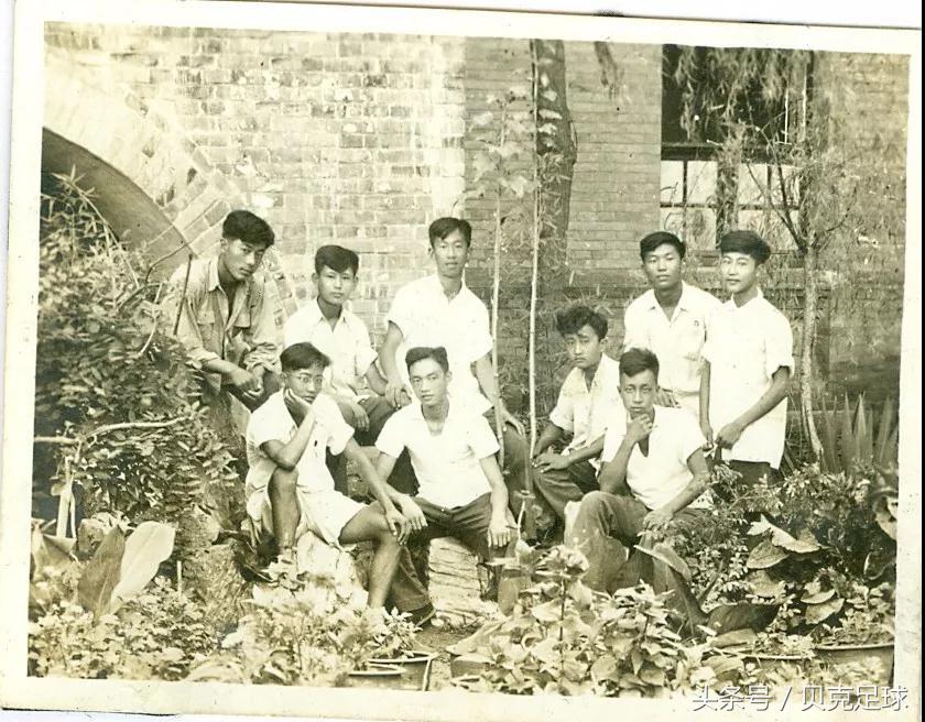 山东足球为何那么强,山东足球历史回顾