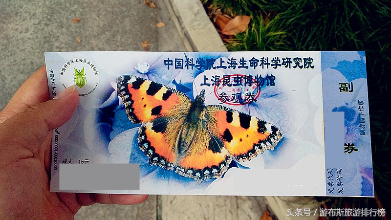 上海昆虫博物馆有哪些昆虫,上海昆虫博物馆照片