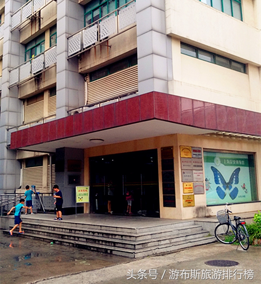 上海昆虫博物馆有哪些昆虫,上海昆虫博物馆照片