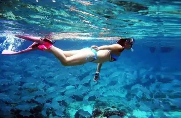 清明假期深圳免费玩的地方,清明小长假深圳周边游