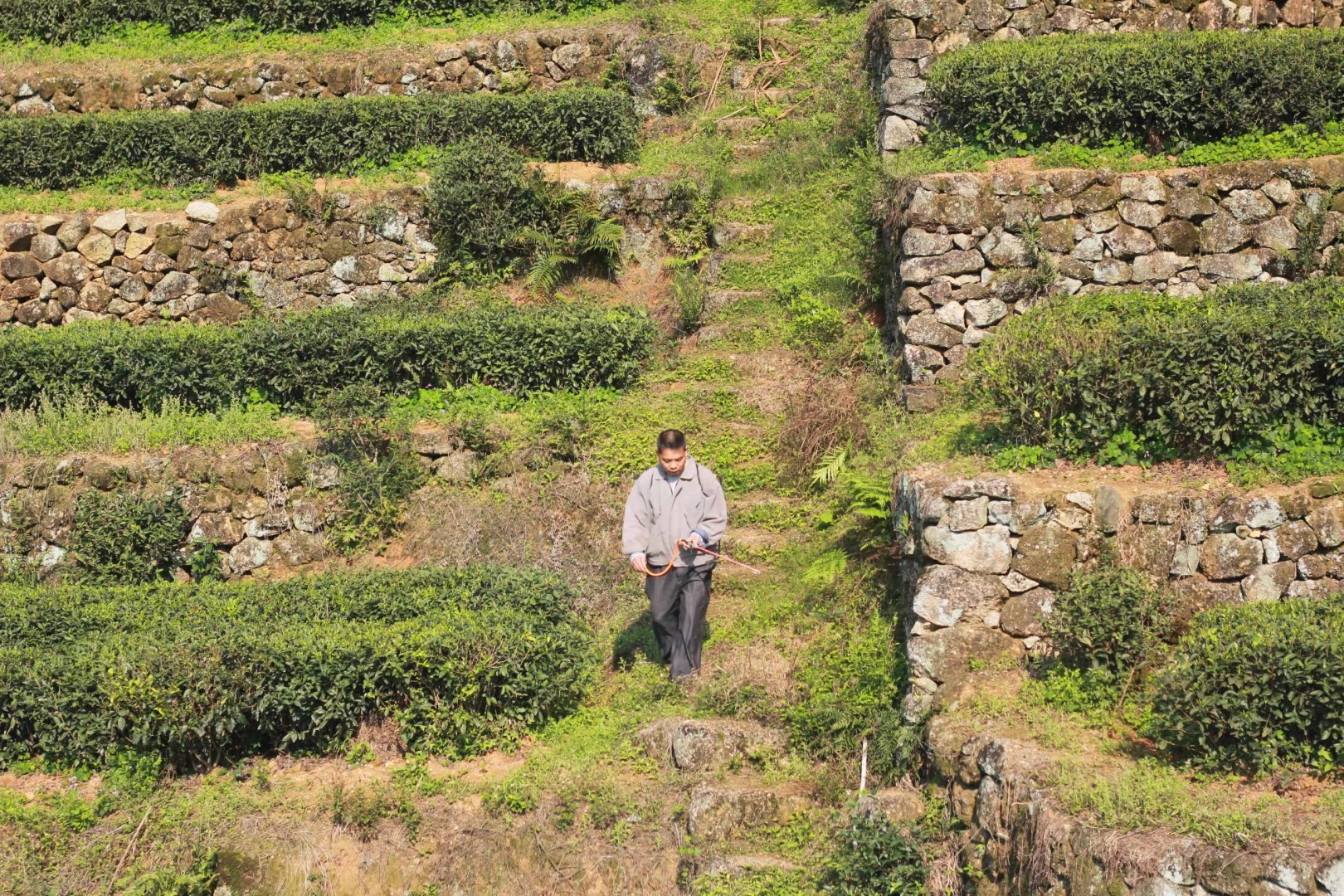 广西壮族自治区桂平西山一游,广西壮族三月三桂平西山游
