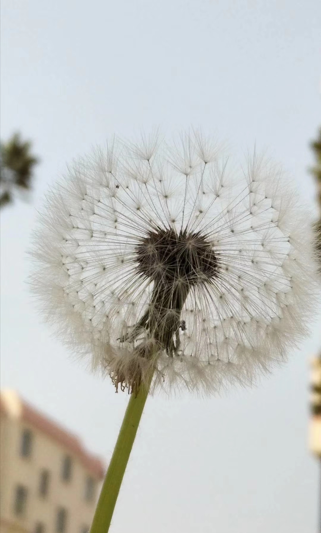 户口年龄与实际年龄变更申请,户口改年龄怎么写申请