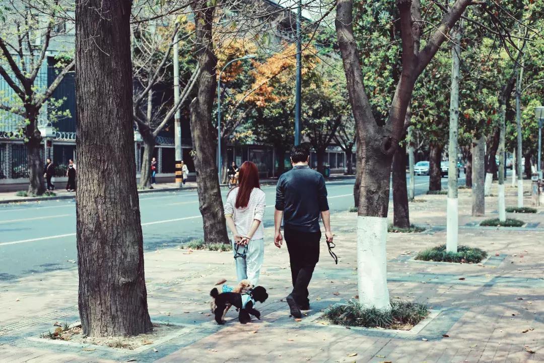 成都九眼桥演变,土生土长成都