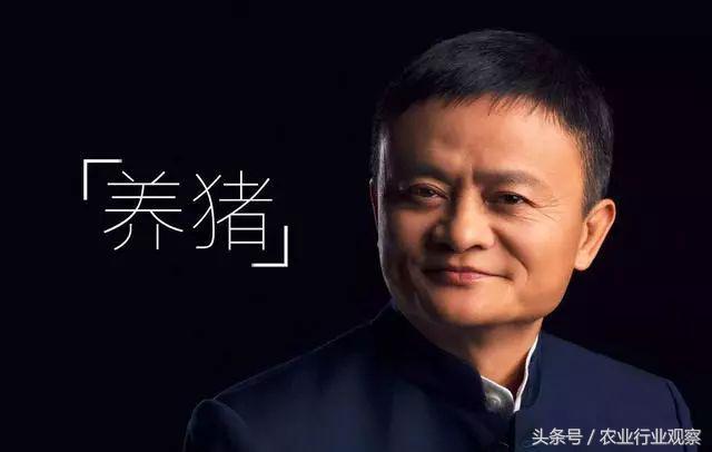 重磅|农业金矿待挖，谁又是中国农业领域捞金之王？