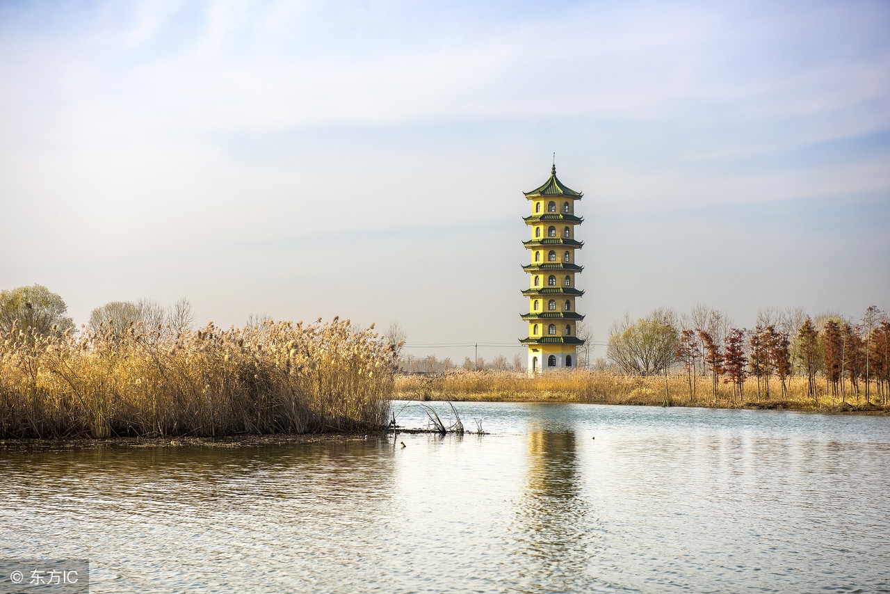 找拼多多店铺代发,去哪里找货源拼多多开店