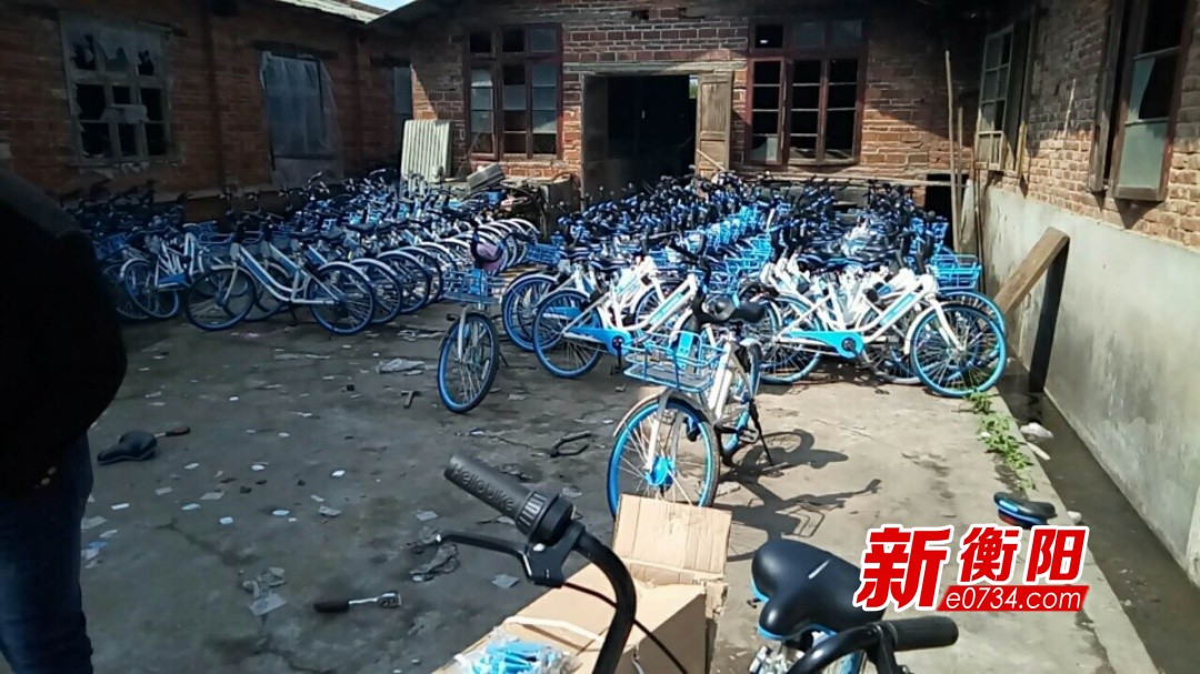 向不文明行为说“不”:哈罗单车呼吁用户文明骑行