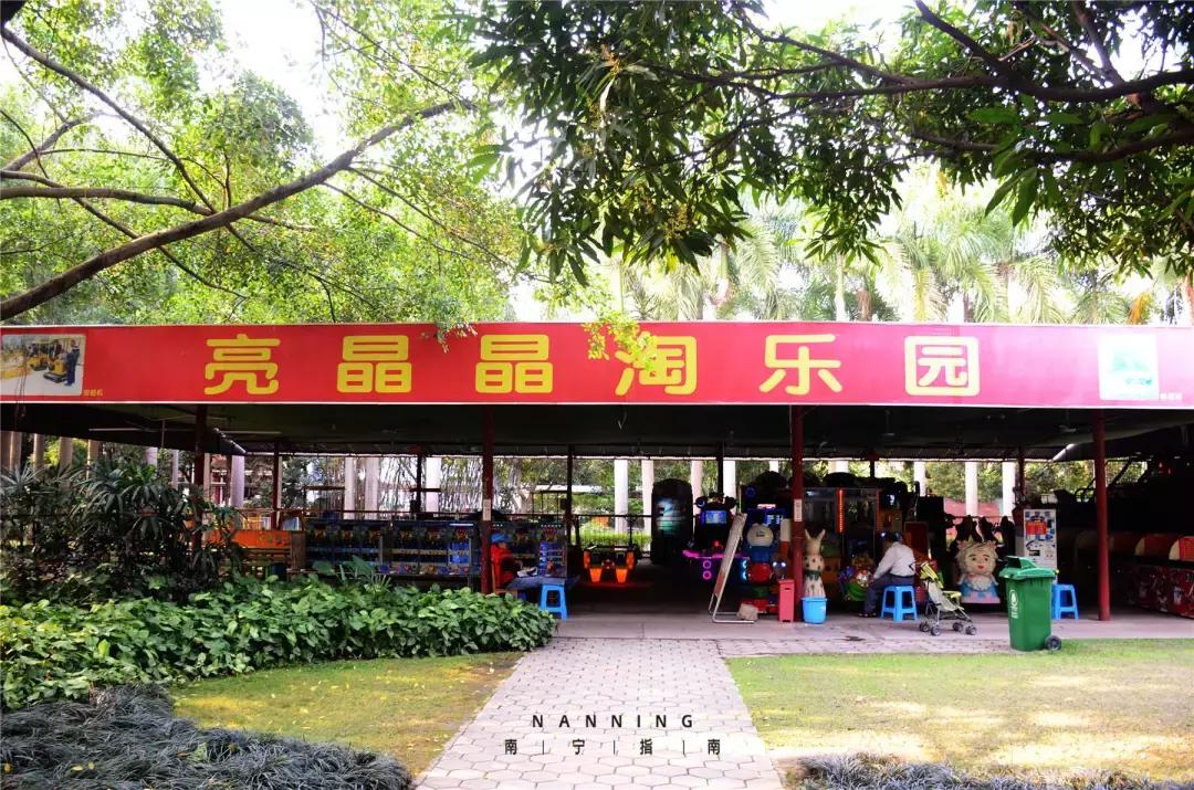 金花茶公园景点,走进金花茶公园