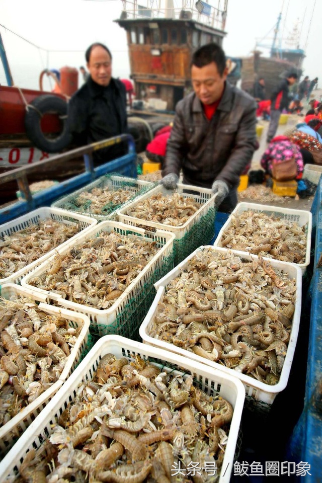 6月渤海湾吃什么海鲜,渤海湾七月吃什么海鲜