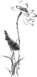 肉肉麻麻的顺产记录篇