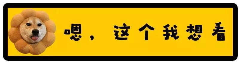 设计师简历怎么写实工作经历,设计师简历没经验学长教你这样写
