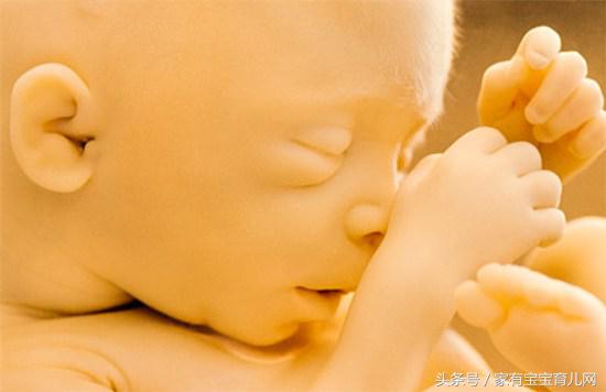 孕期饮食怎么吃对胎儿更好,孕妇怎么吃才能使胎儿发育好