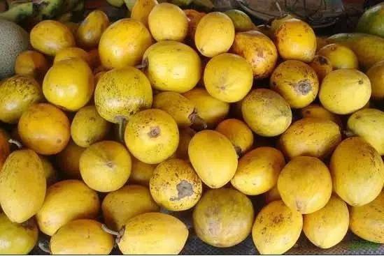 海南宝藏级美酒,海南美酒