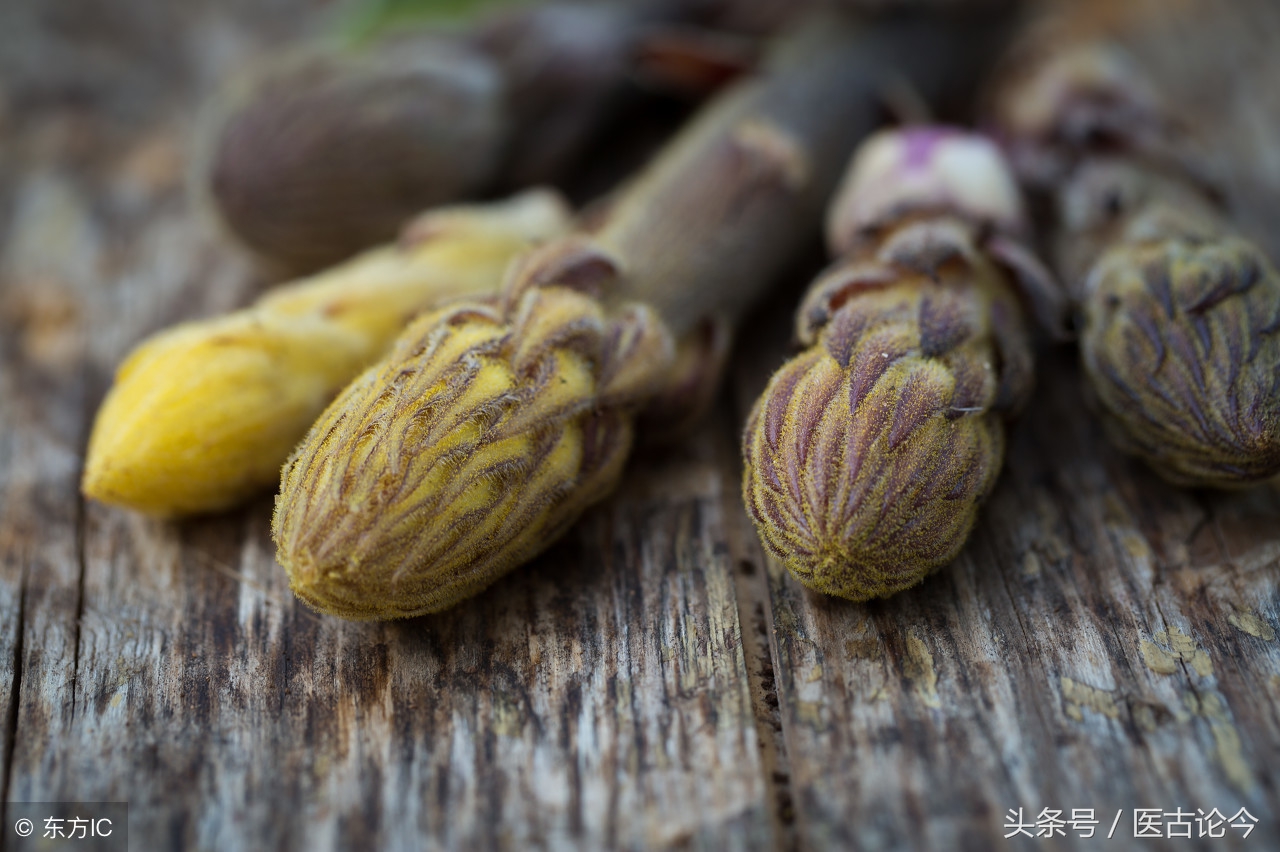 中药肉苁蓉的功效和用法,中药肉苁蓉的注意事项