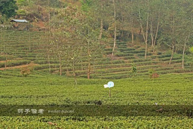 云南沧源靠近哪个国家,云南沧源最好玩的地方