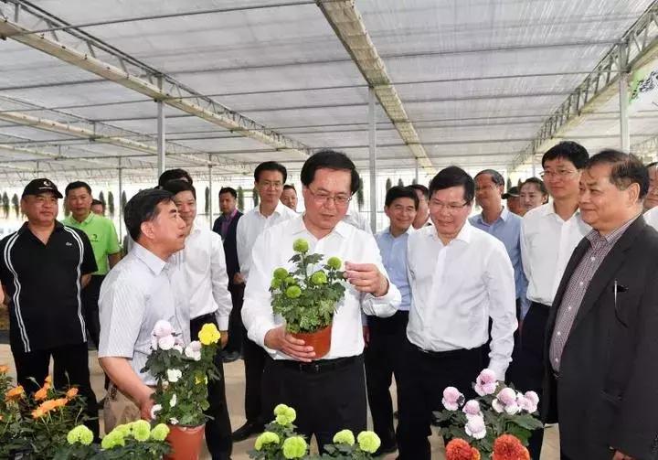 车俊在杭州市西湖区调研时强调高起点规划高质量推进乡村振兴