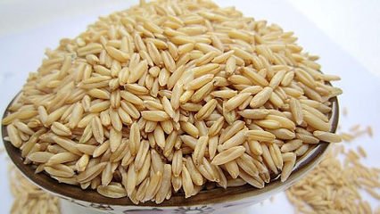 买到假种子找谁处理,买到假种子向哪部门投诉