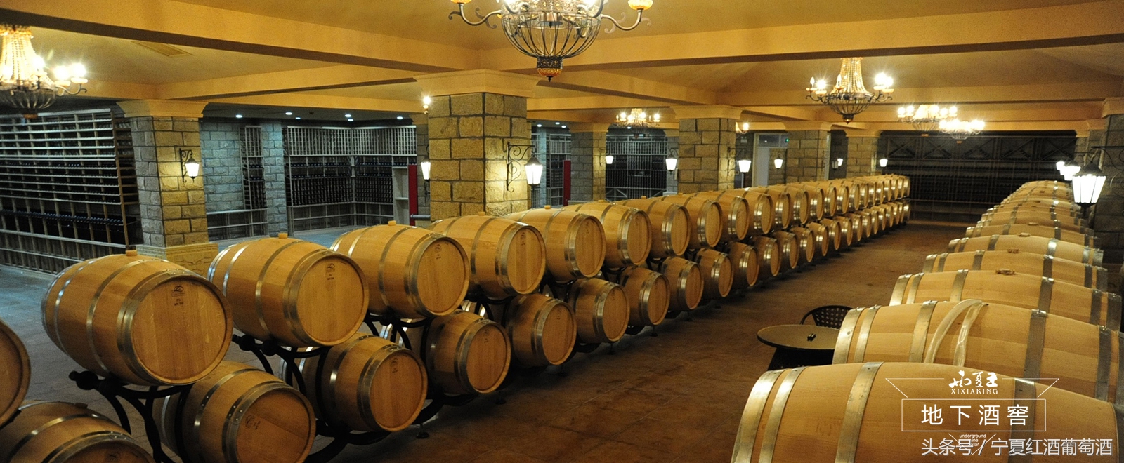 宁夏贺兰山东麓西夏王,宁夏农垦贺兰山种业有限公司