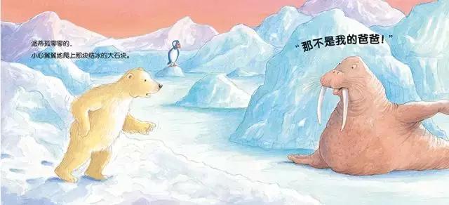 宝宝人生第一篇章,宝宝人生第一年