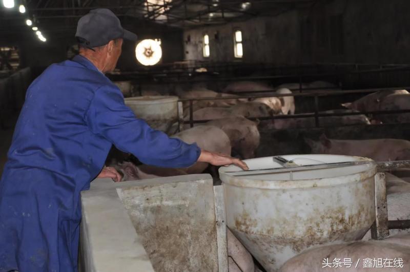 希望的田野歌曲大合唱,希望的田野歌曲舞蹈