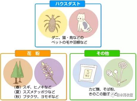 换季引起过敏性鼻炎哮喘,换季鼻炎引起咳嗽怎么食补