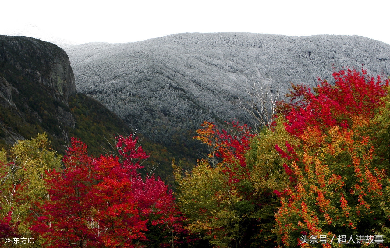 黄大仙讨封之路,黄大仙真的很讨封吗
