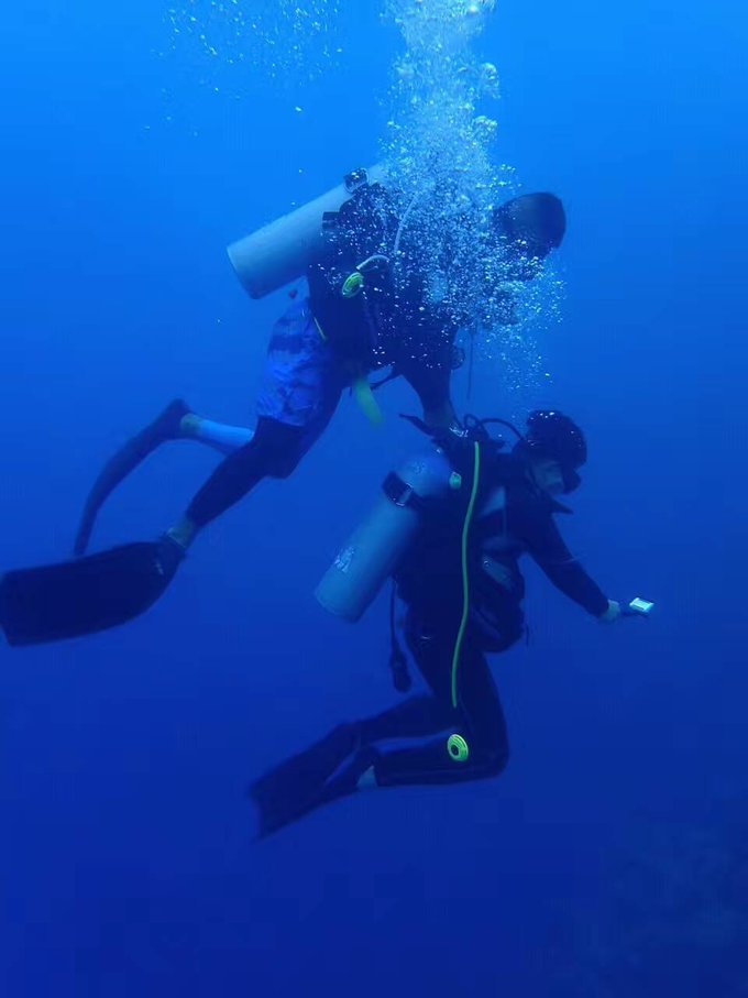 帕劳体验潜水,帕劳潜水胜地是什么体验