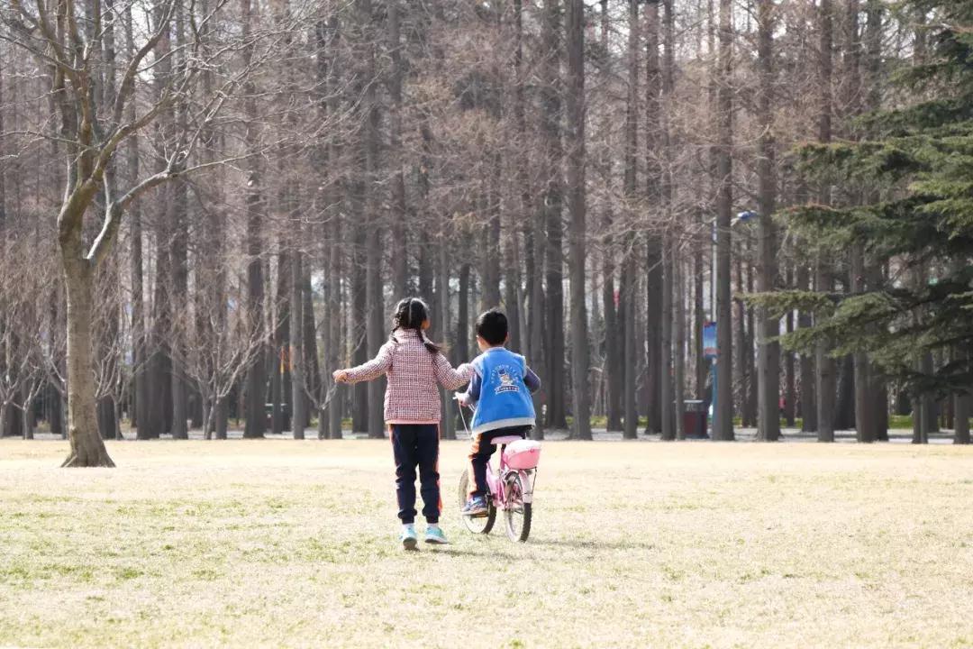 大连高校校花大pk,大连高中校花
