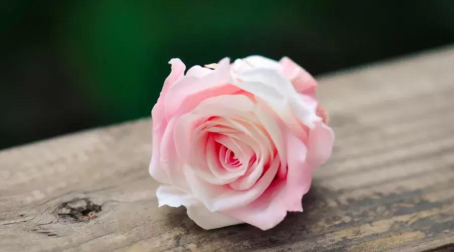 田蕴章每日一字思的行书写法,每日一字思