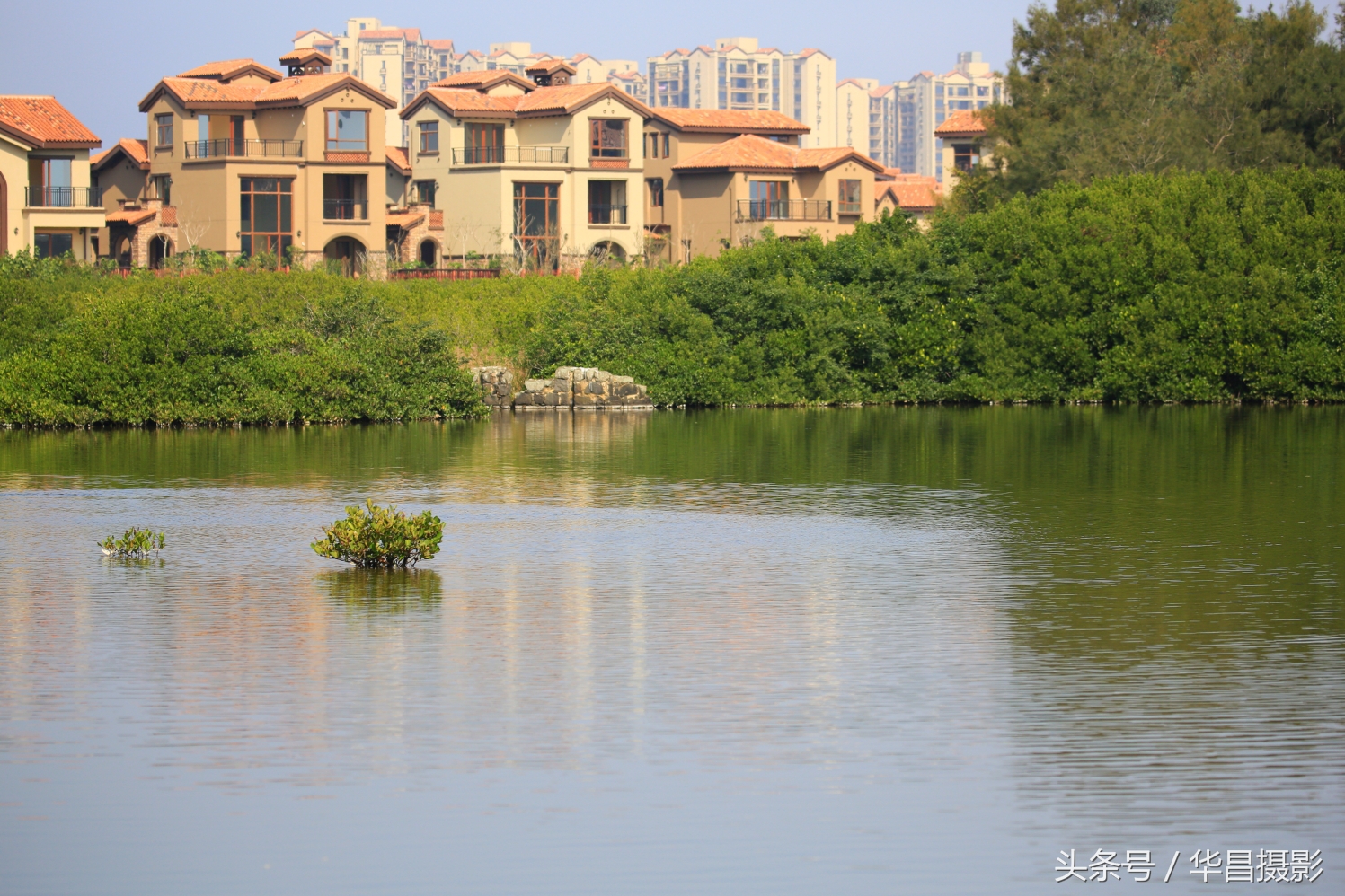 澄迈富硒最多的地方在哪里,澄迈县具体的富硒区