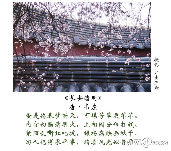 有关清明的绝美古诗句,5句描写清明的古诗词