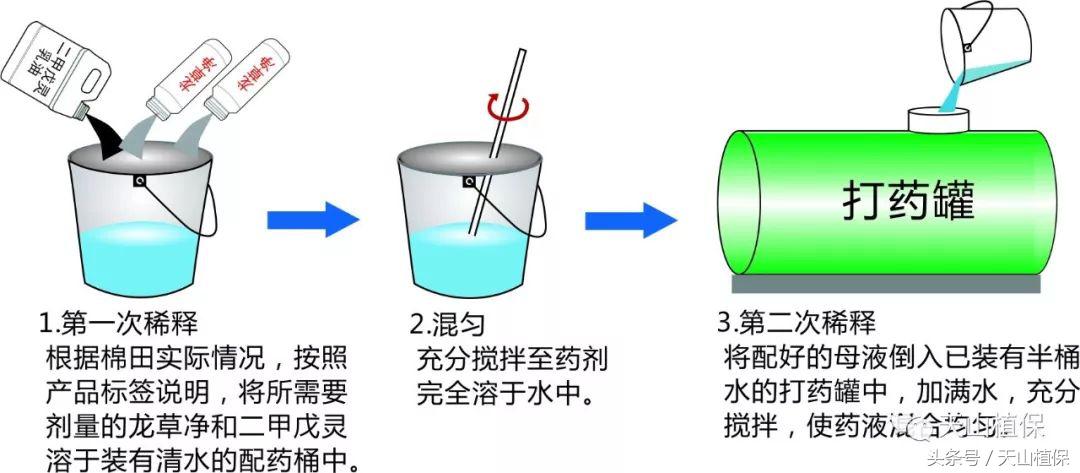 龙草净在棉田防除龙葵技术