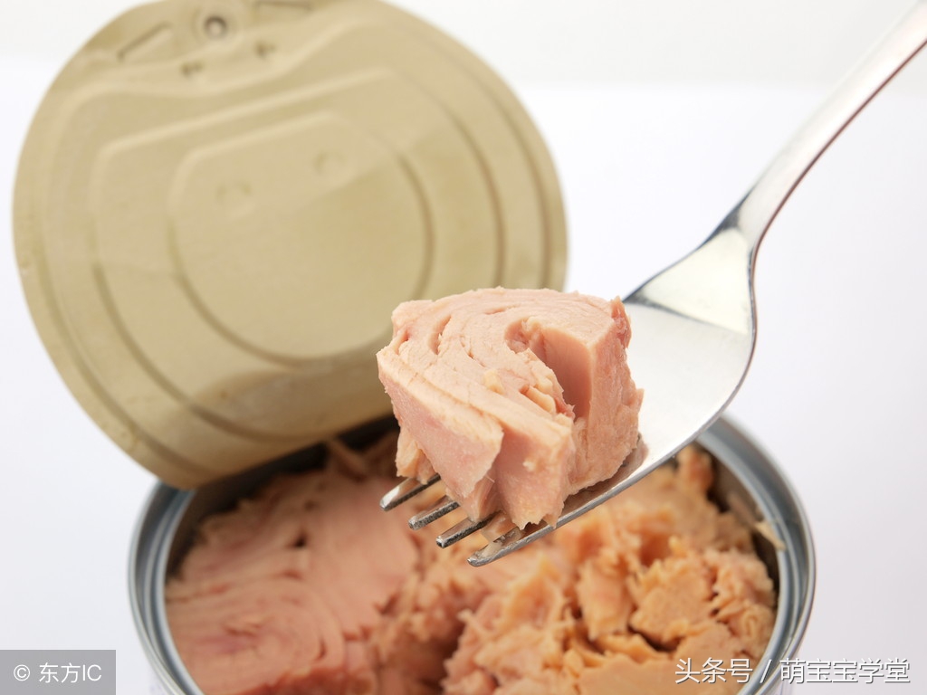 孕妇吃哪种鱼对胎儿发育好前期,孕妇初期吃什么鱼对胎儿发育好